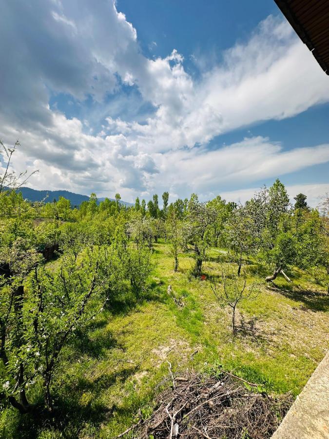 Sheen Homestay グルマルグ エクステリア 写真